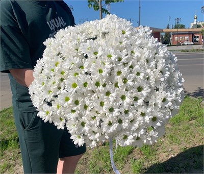 Букет из 37 хризантем ромашка 11085 - фото 374