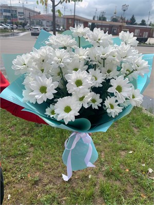 Ромашка 5 шт 11139 - фото 460