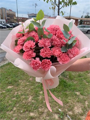 Розовые диантусы 11260