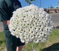 букет из хризантем ромашка