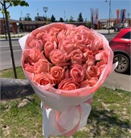 Анна Карина 11087