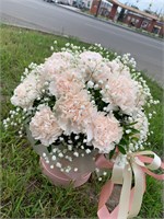 Зефирка 11092