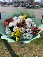 Лето 11106