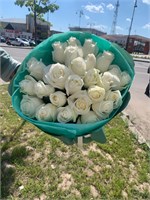 Прауд розы 11110