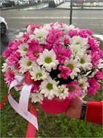 Фуксия 11142