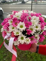 Фуксия 11142