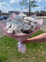Алтай 5 шт 11163