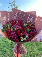 Альстромерии 25 шт 11168