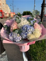 Нежное облако 11169