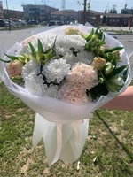 Ванильный 11172