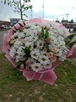 Легкость ветра 11190