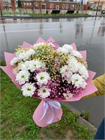 Радуга в ромашках 11193