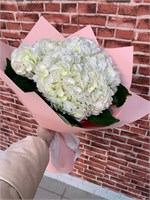 Нежная гортензия 11223