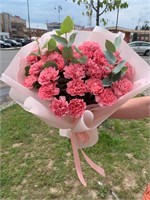 Розовые диантусы 11260