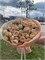Розочки кустовые кремовые 11136 Розочки кустовые кремовые 11136